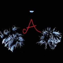 A Feather Sleeve Sweater