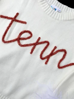 “Tenn” Feather Sleeve Sweater